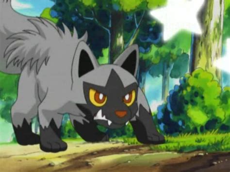 can poochyena learn cut.